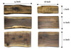 Comparison of live-edge wooden boards in 24-inch and 18-inch lengths, with varying widths of 7, 10, and 12 inches, showcasing the natural grain patterns and unique shapes of each board.